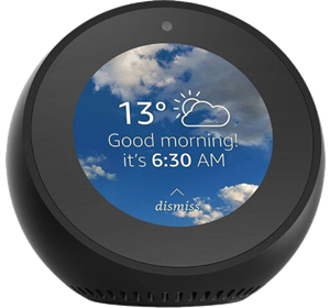 Amazon Echo Spot