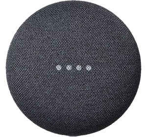 Google Nest Mini