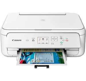 Canon Pixma TS5151