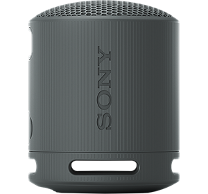 Sony SRS-XB100