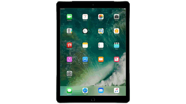 Apple + iPad Pro 12.9 4G Wi-Fi 2nd generation